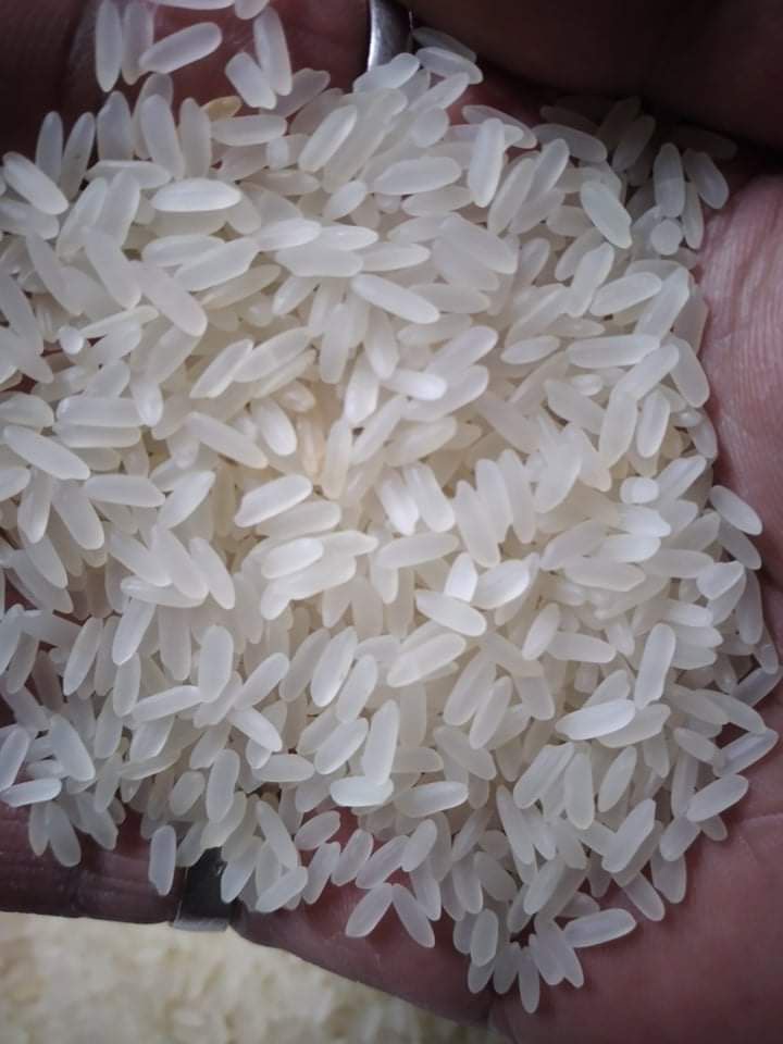 46487 - Rice offer India